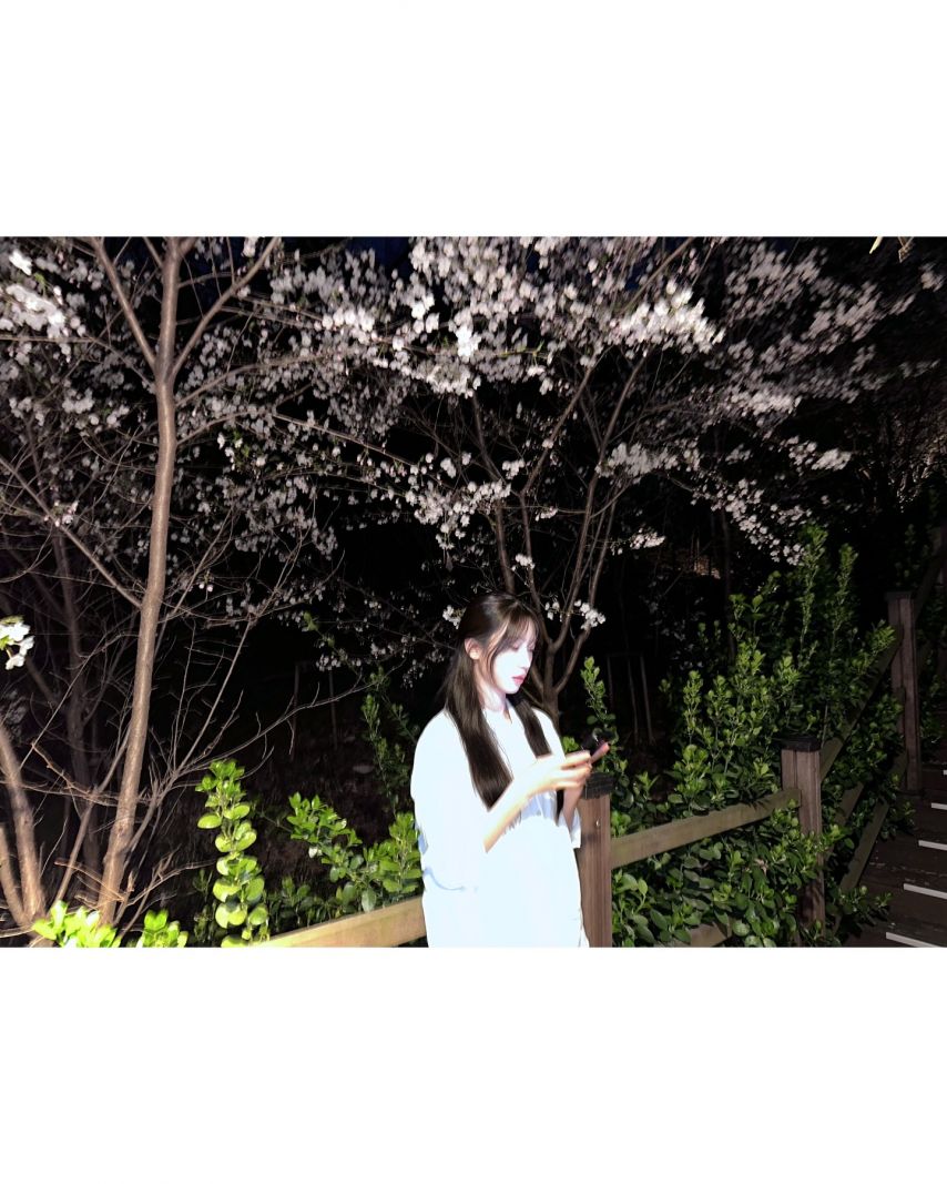 수윤 로켓펀치