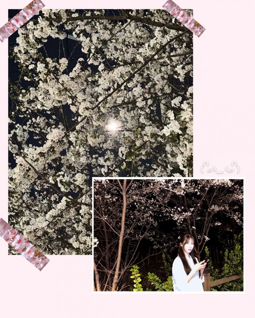 수윤 로켓펀치