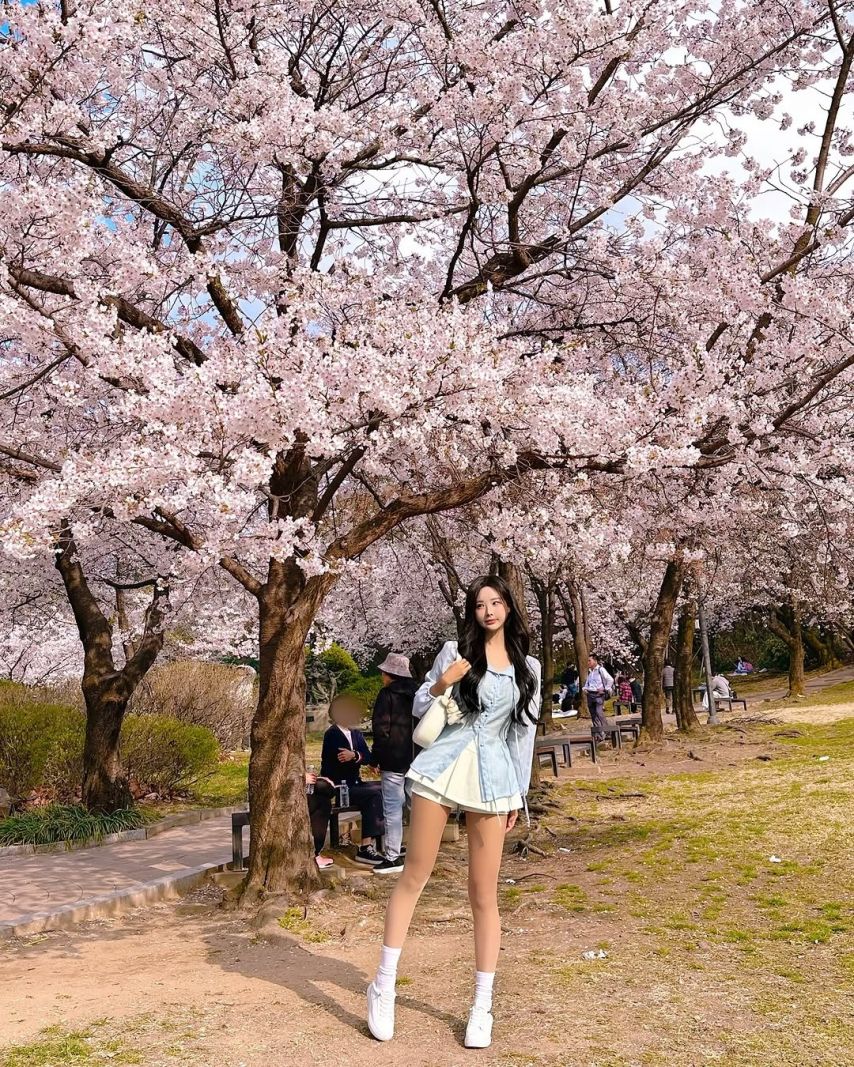 하빈