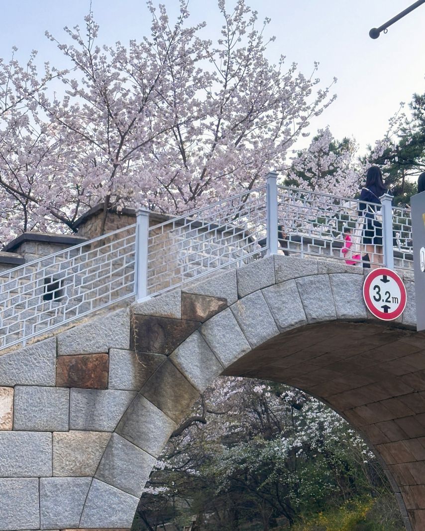 홍민하
