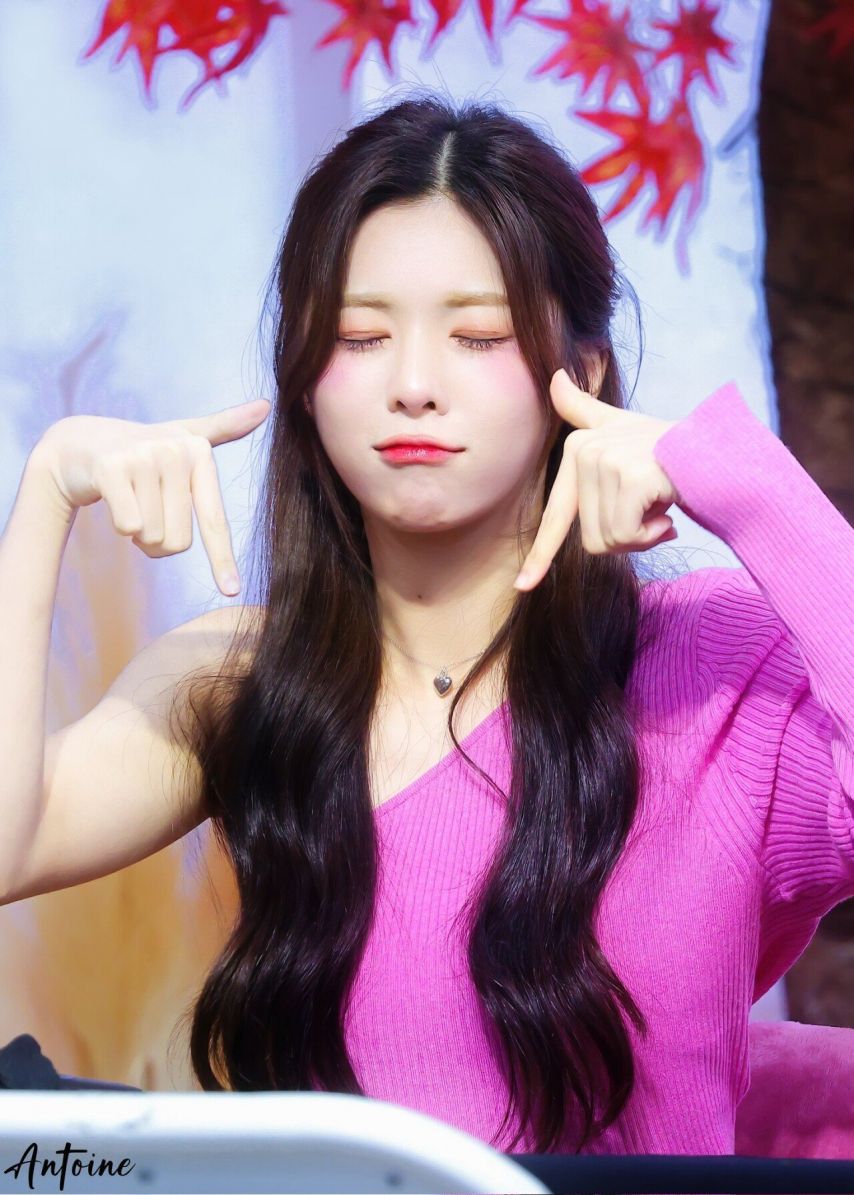 트리플에스 다현