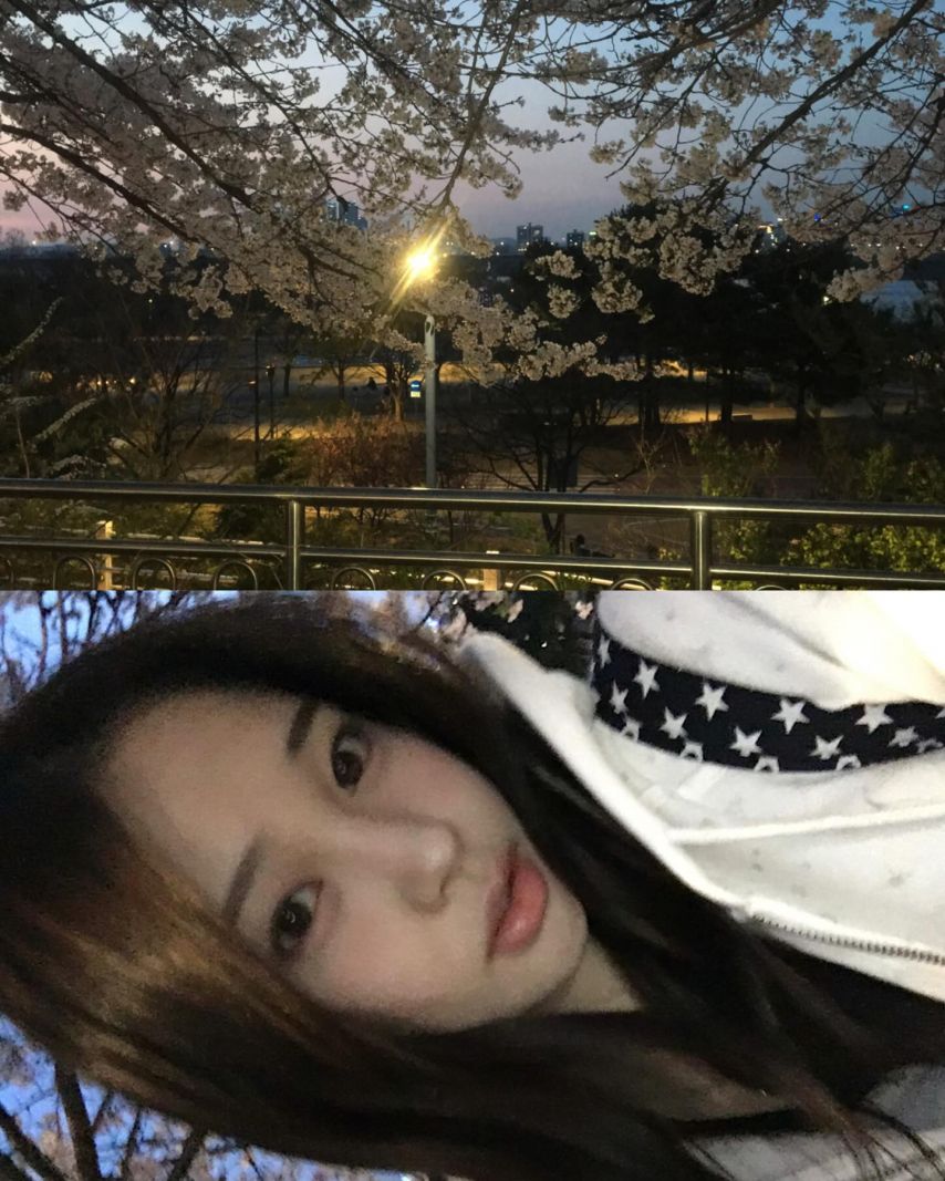 위클리 지한
