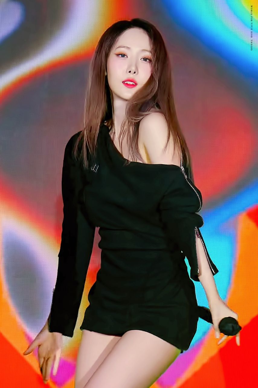 비비지 신비