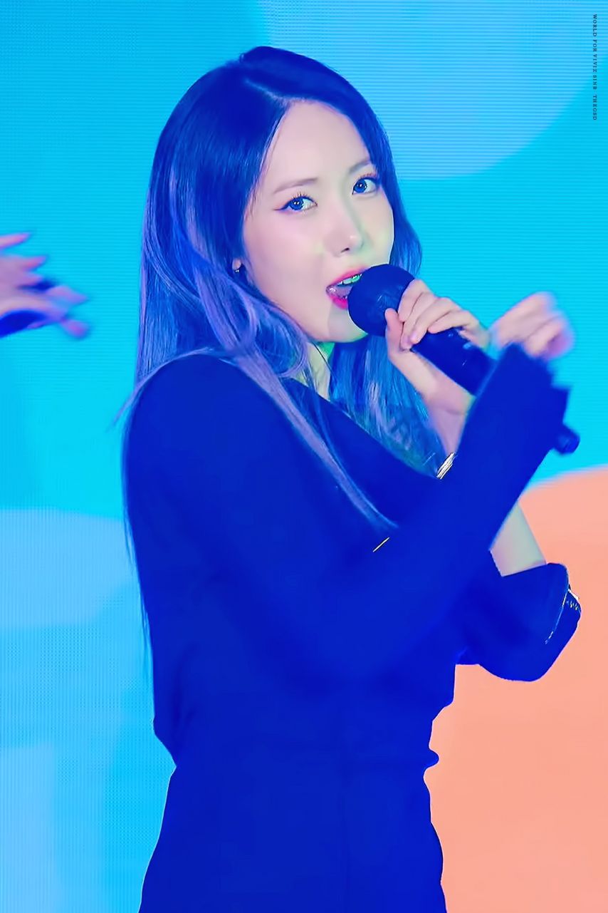 비비지 신비