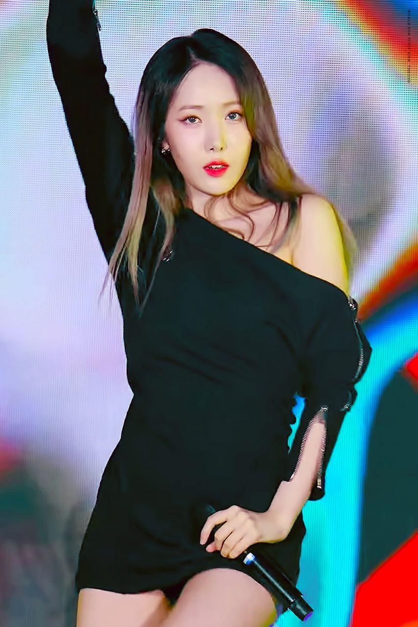 비비지 신비