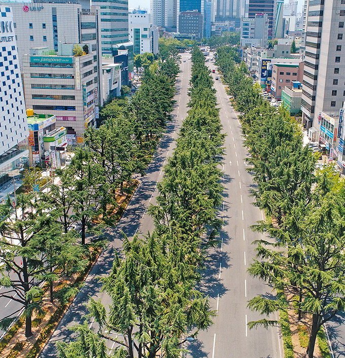 대구의 흔한 도로들