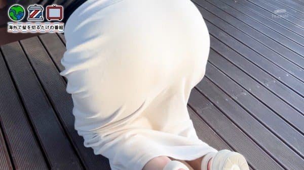 ㅇㅎ) 한국 여행중인 육덕 일본 누나