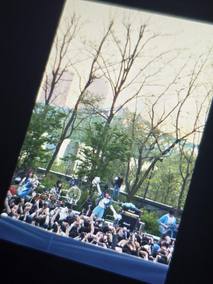 QWER 노들섬 기사 사진