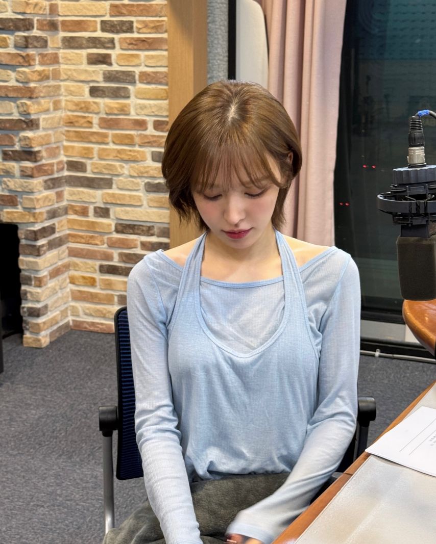 레드벨벳 웬디