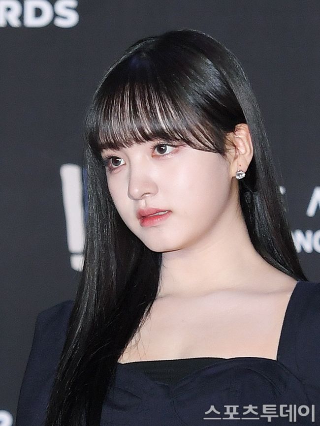 아이브 리즈