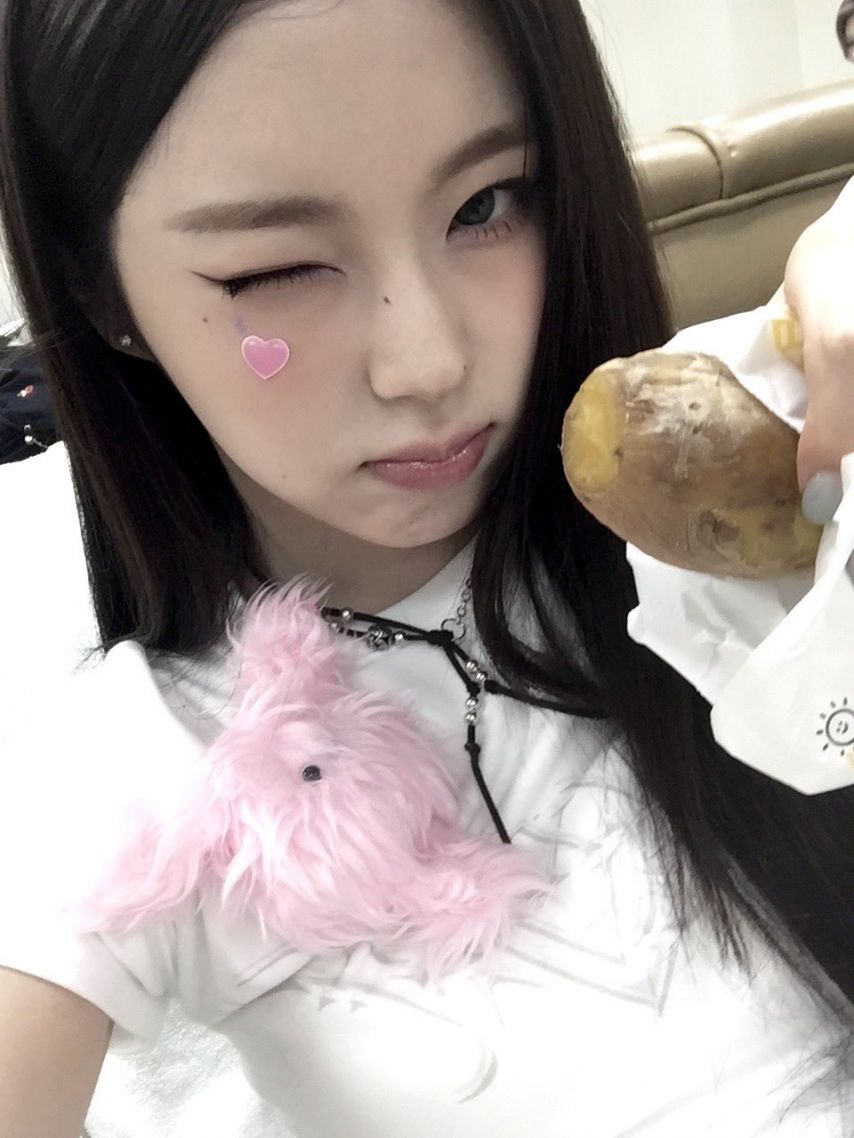 엔믹스 설윤,해원,규진