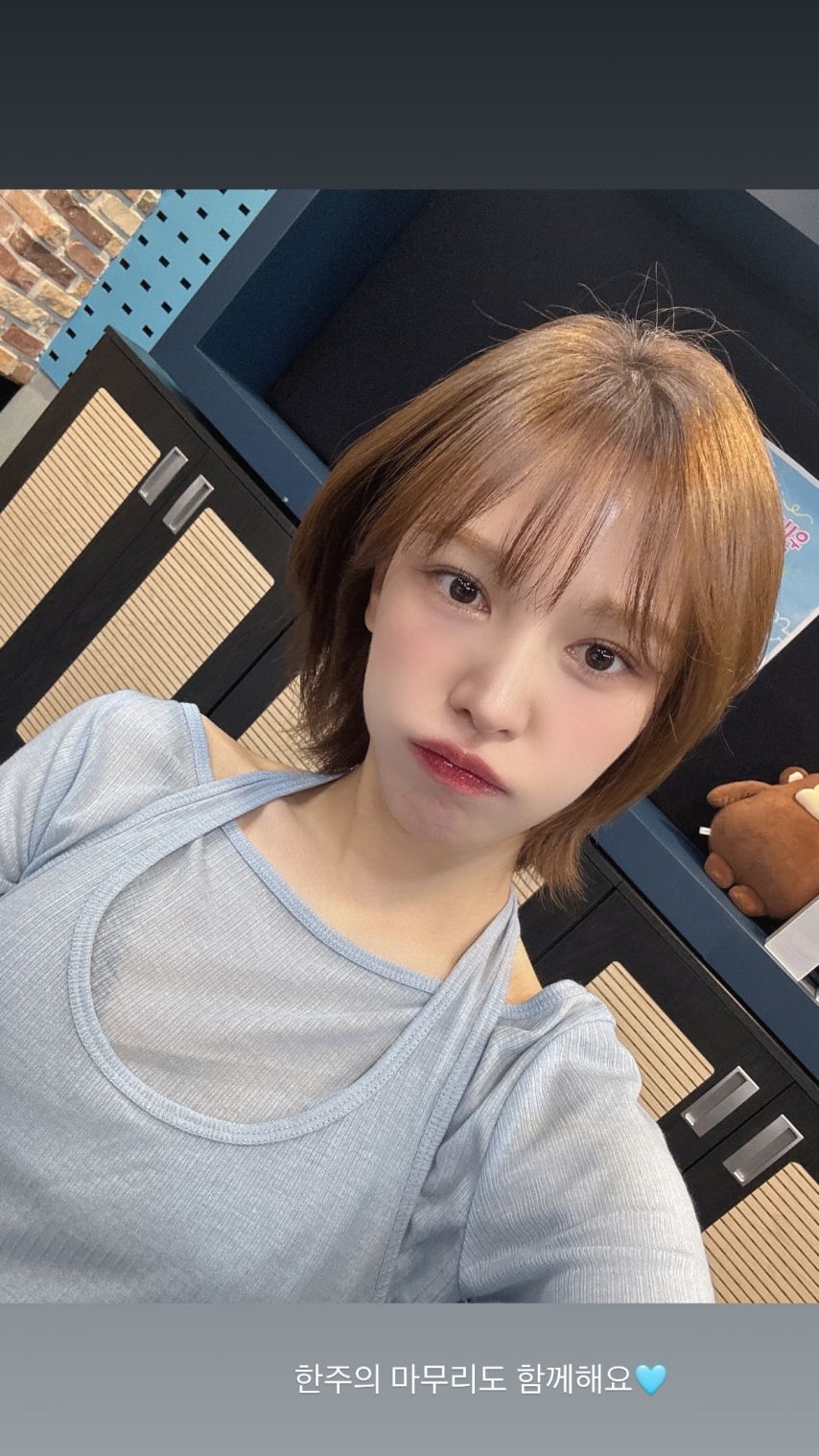 레드벨벳 웬디