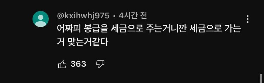 세금으로 대만 여행도 간 충주맨