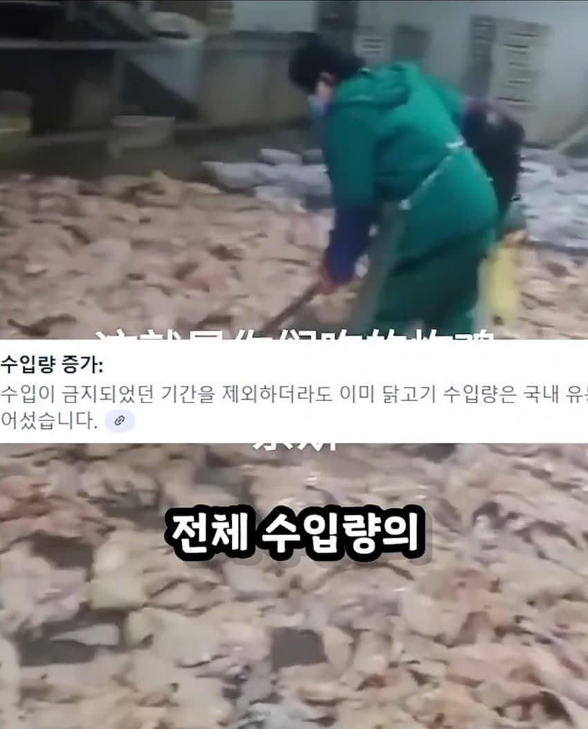 한국에 수출하는 중국 닭공장이라고 퍼지는 짤