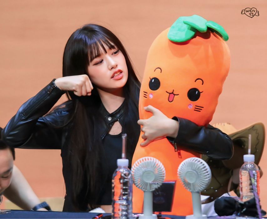 유쾌한 안댕댕 안유진 (아이브)