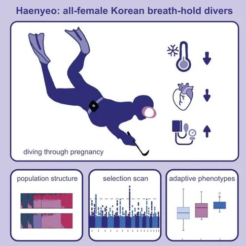 제주 해녀들의 잠수 비법