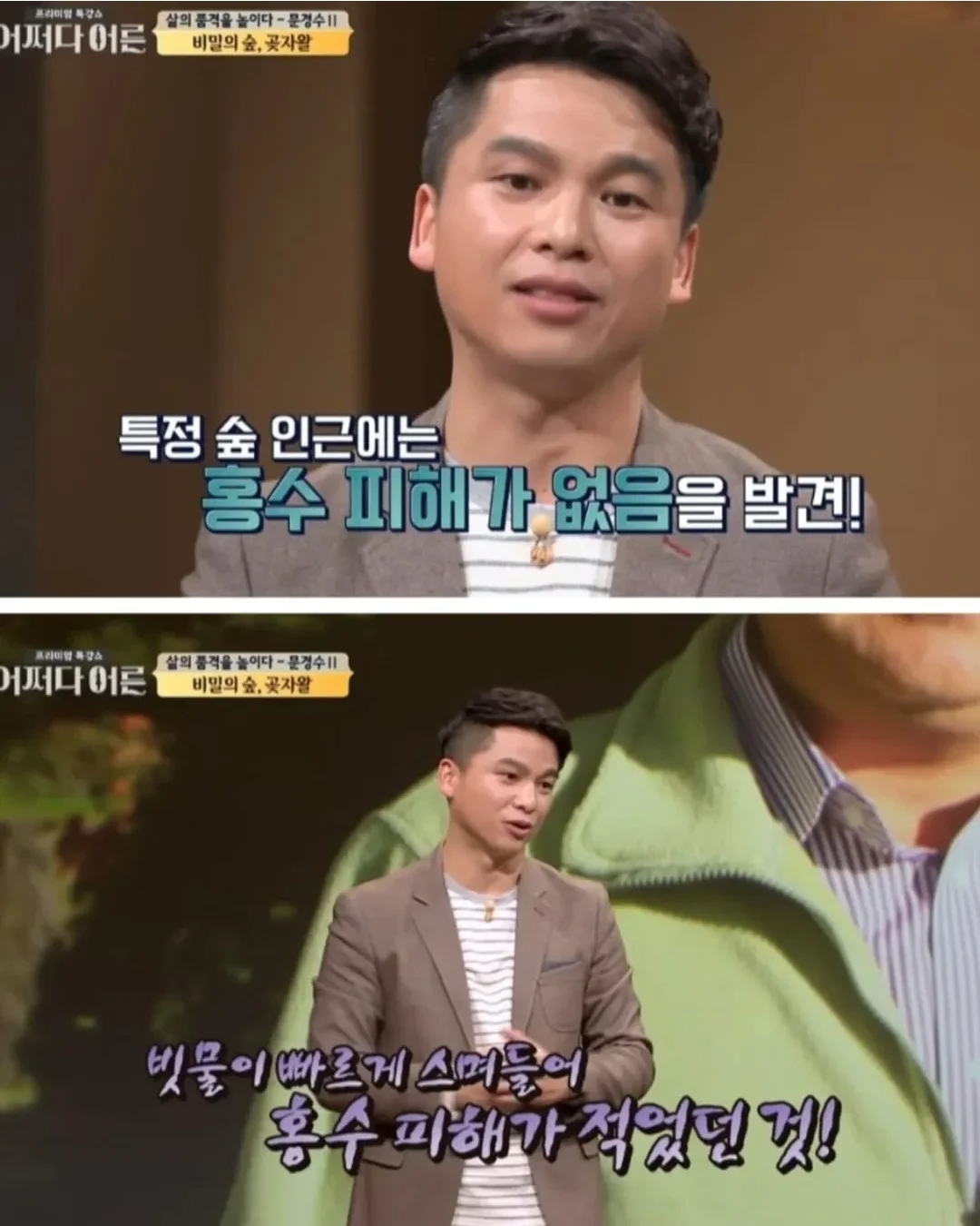 비밀이 밝혀진것이 독이 된 숲
