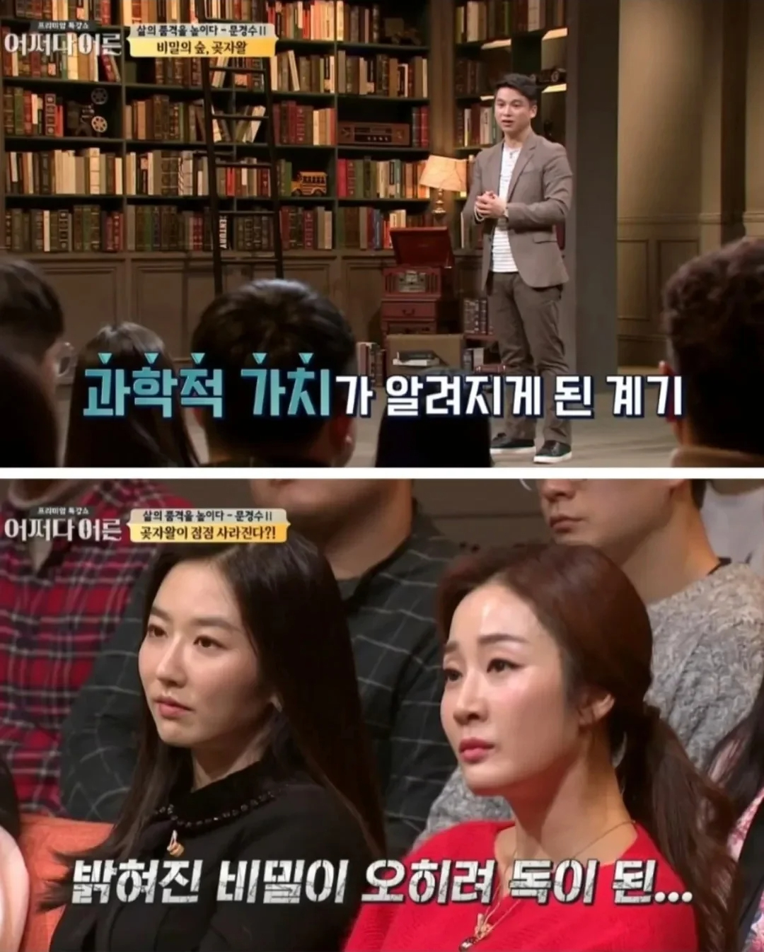 비밀이 밝혀진것이 독이 된 숲