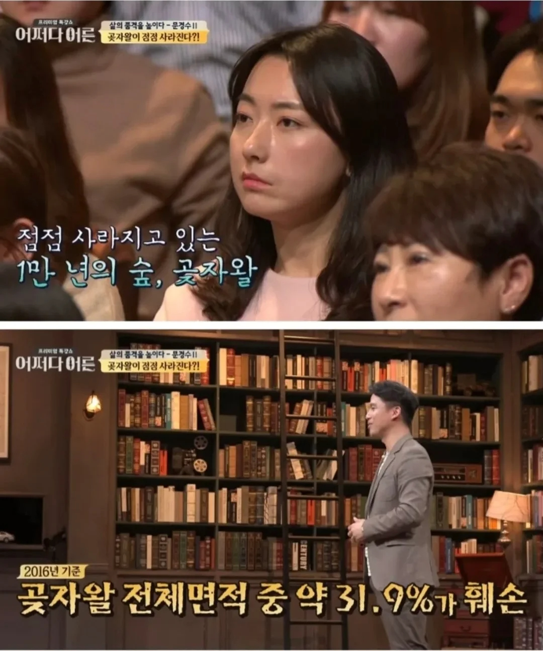 비밀이 밝혀진것이 독이 된 숲