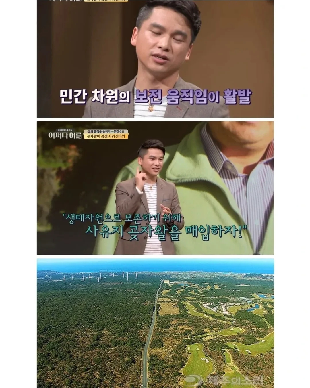 비밀이 밝혀진것이 독이 된 숲