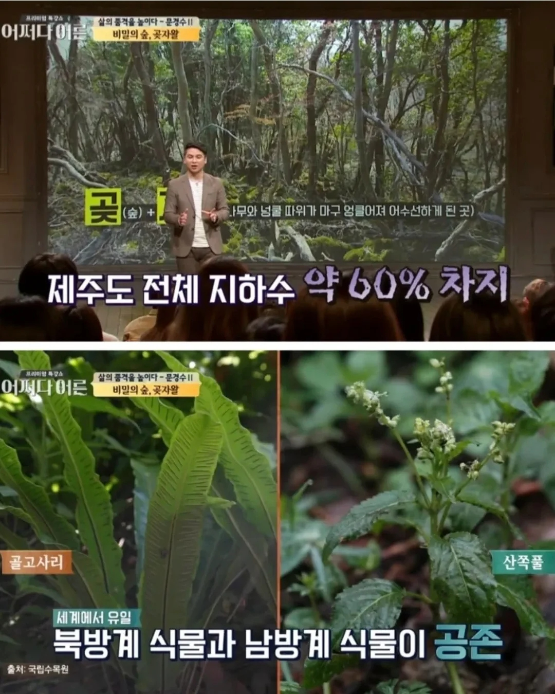 비밀이 밝혀진것이 독이 된 숲