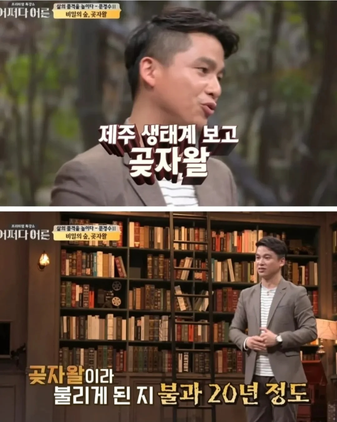 비밀이 밝혀진것이 독이 된 숲