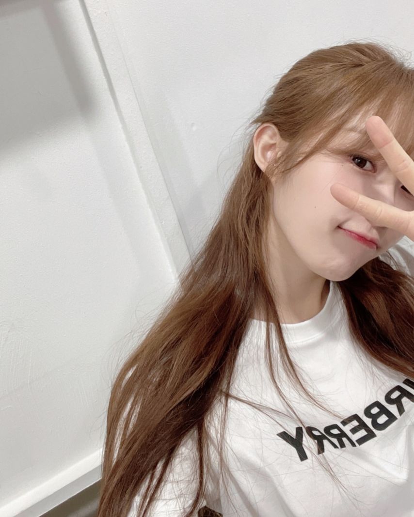시그니처 채솔 인스타
