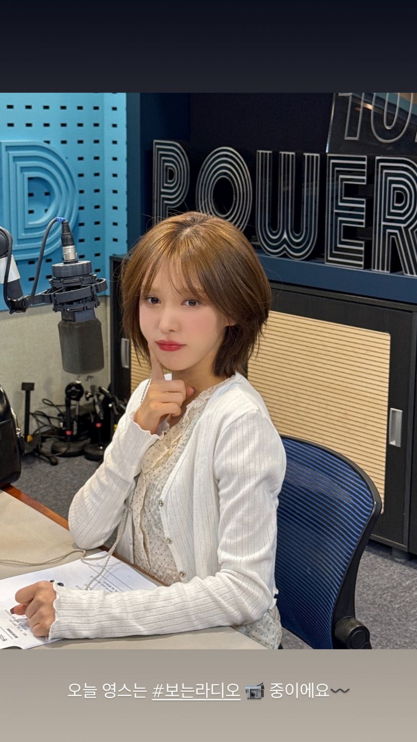 레드벨벳 웬디