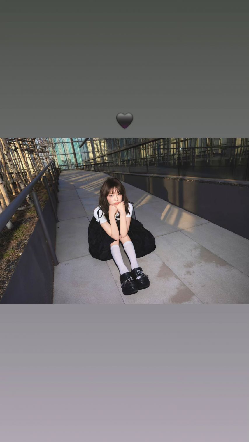 르세라핌 김채원,사쿠라,허윤진,카즈하,홍은채