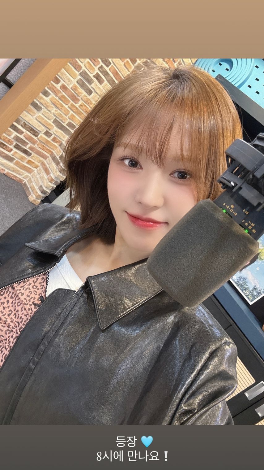 레드벨벳 웬디
