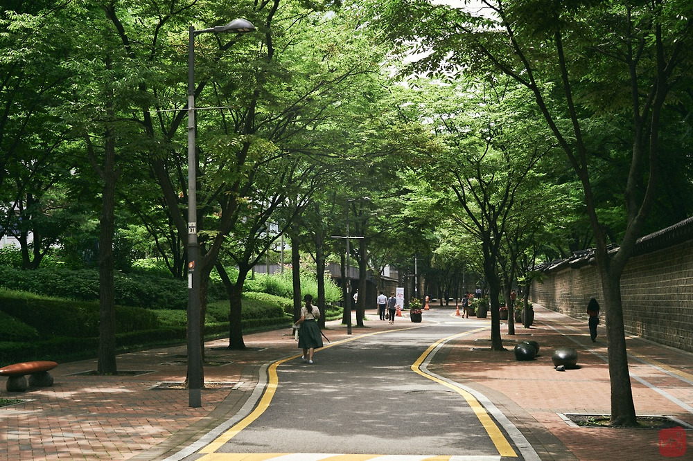 한국에서 골목, 거리가 가장 예쁜 지역