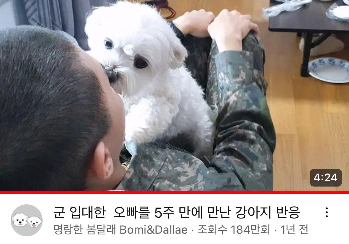 매일매일 한없이 군대 간 오빠를 기다리던 강아지