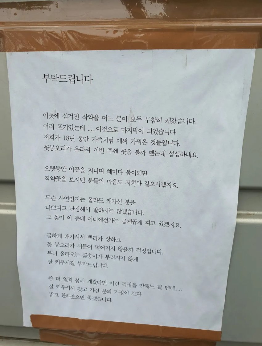 부탁드립니다