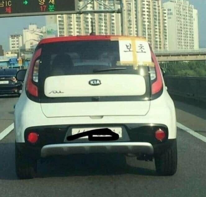 도로에서 무조건 피해야 하는 차들..