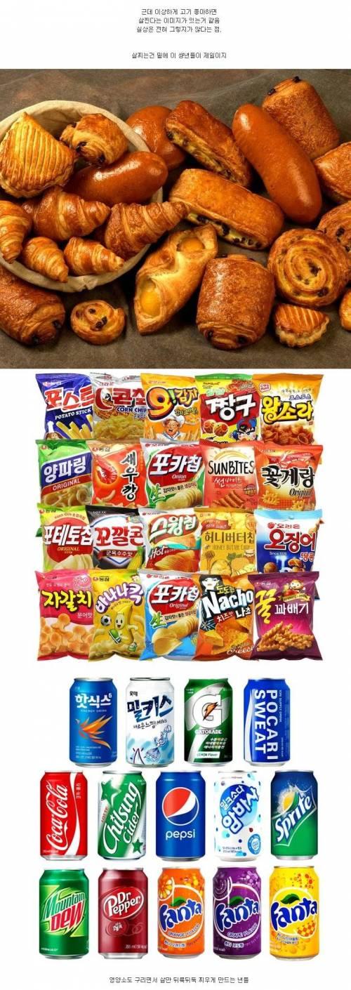 살 찐다는 오해가 있는 음식