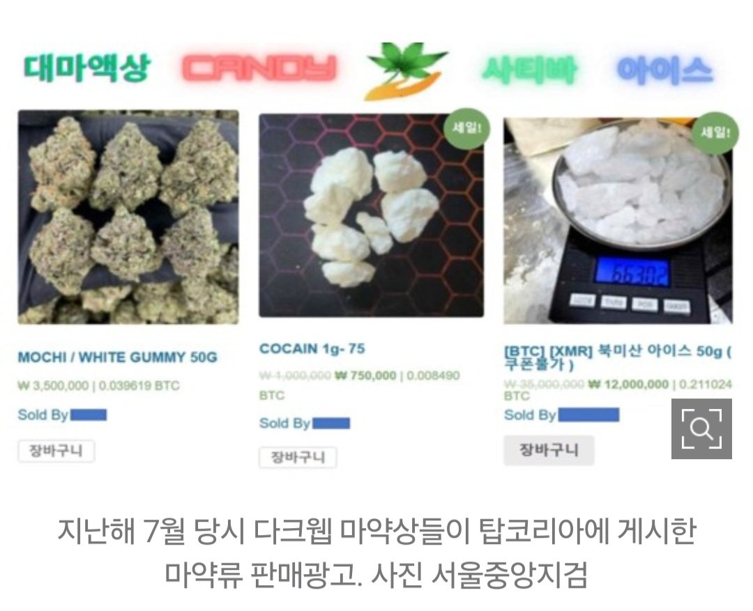 [단독]온가족이 대마 장사…가입 4000명 마약플랫폼 일망타진