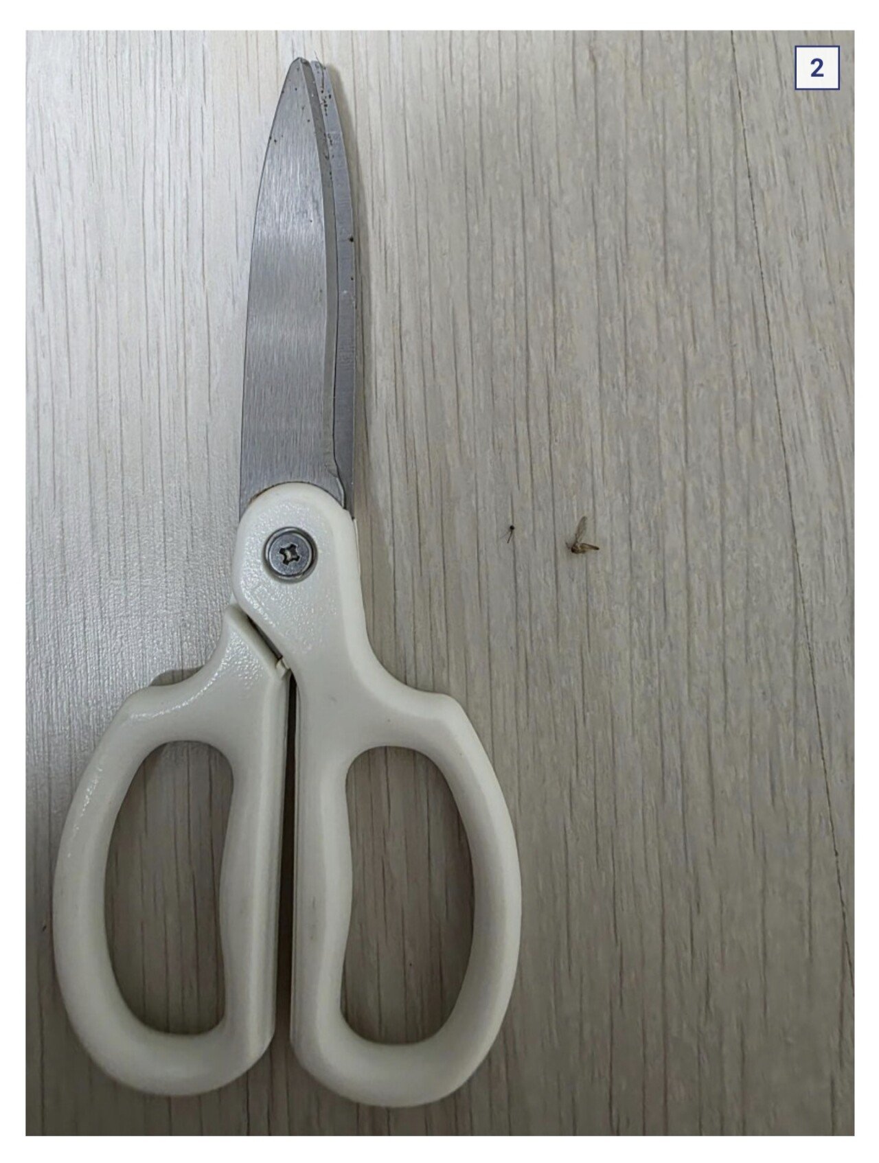 (혐??) 디씨 모기갤러리 근황