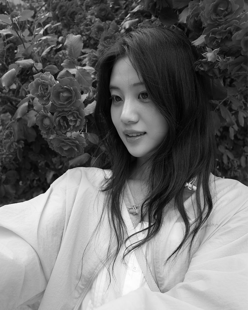 홍화연