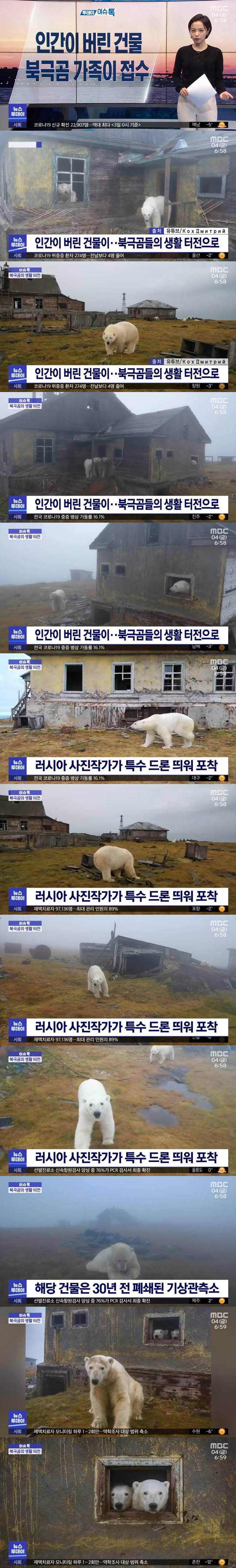 인간이 버린 건물을 접수한 북극곰 가족
