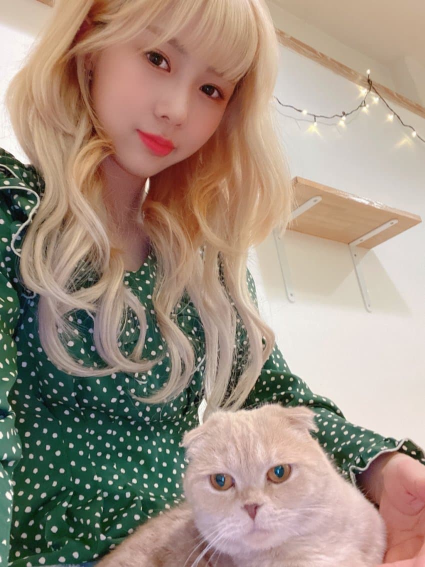 드림캐쳐-유현
