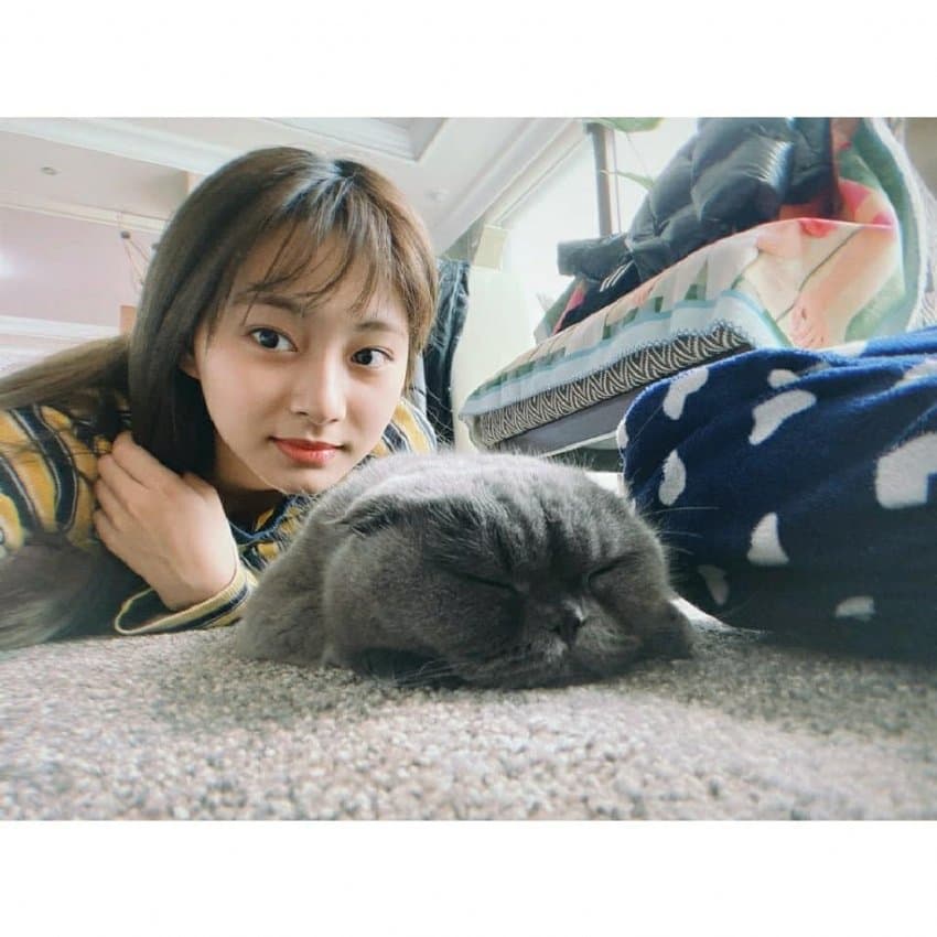 트와이스-쯔위