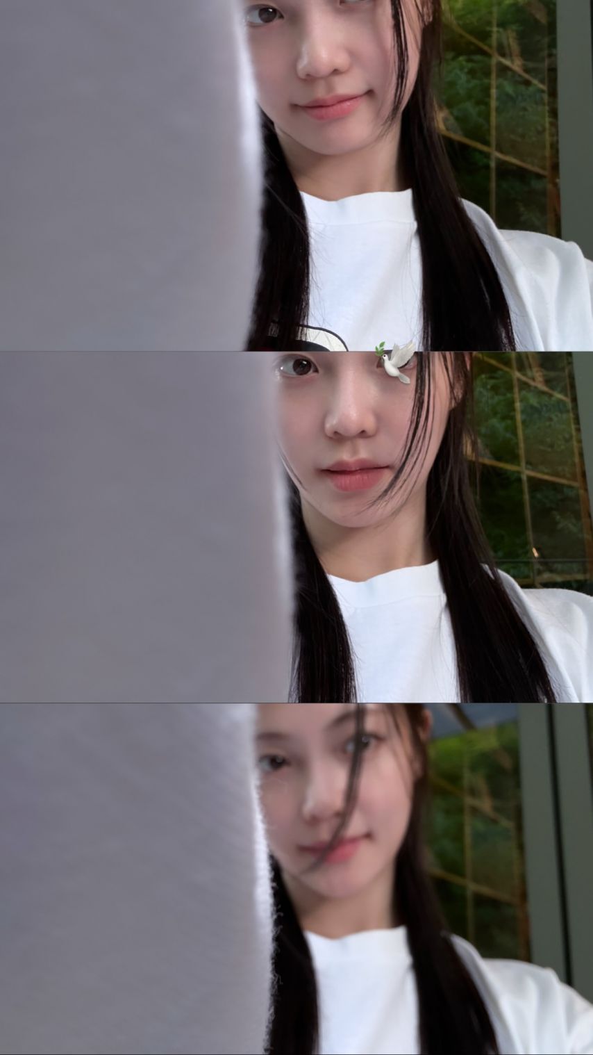 우다비