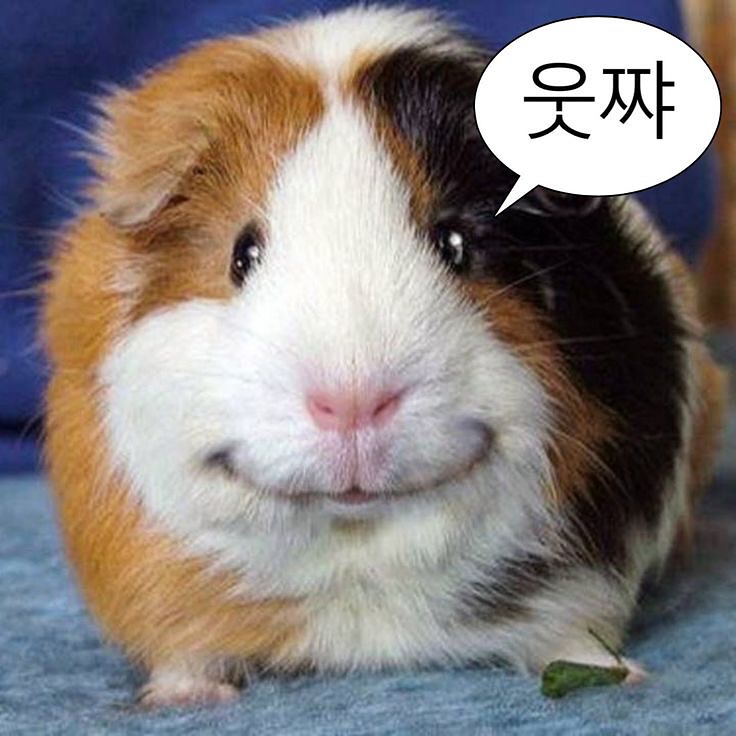 아이브 레이 _ 레이 오프닝 프로젝트