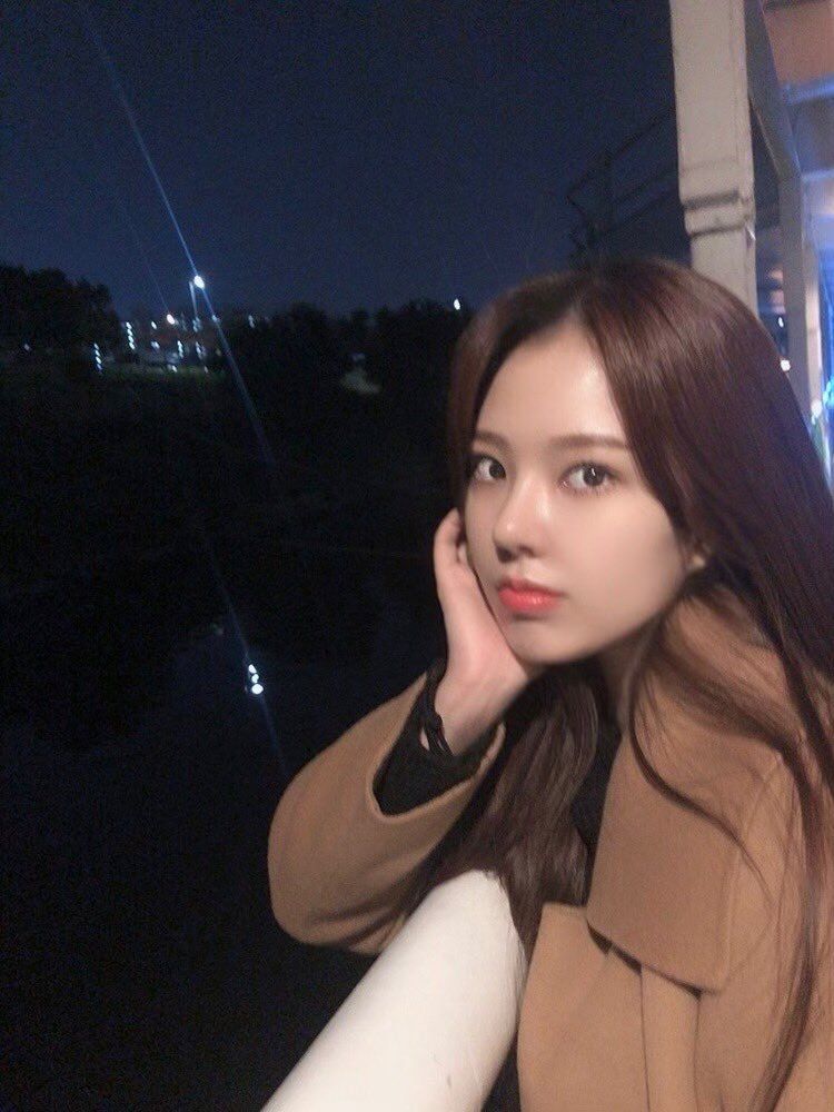 소나무-김도희