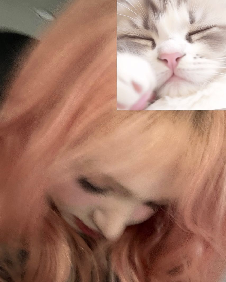 아이브 리즈