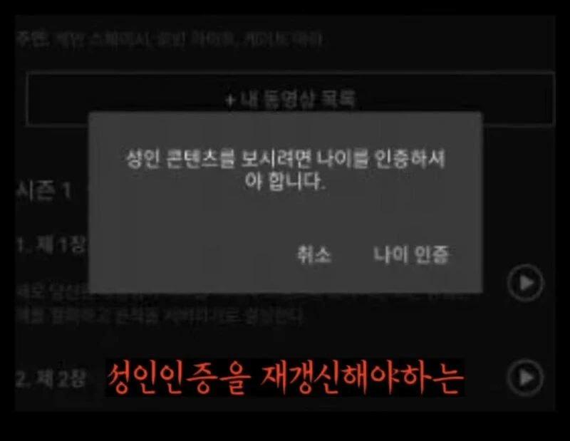 넷플릭스가 매년 1회 성인인증 하는 이유