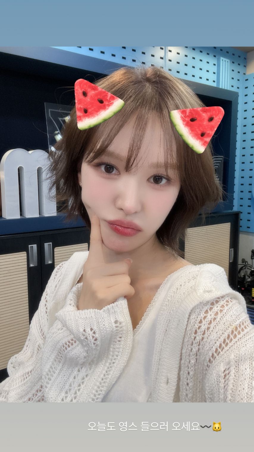 레드벨벳 아이린,슬기,웬디