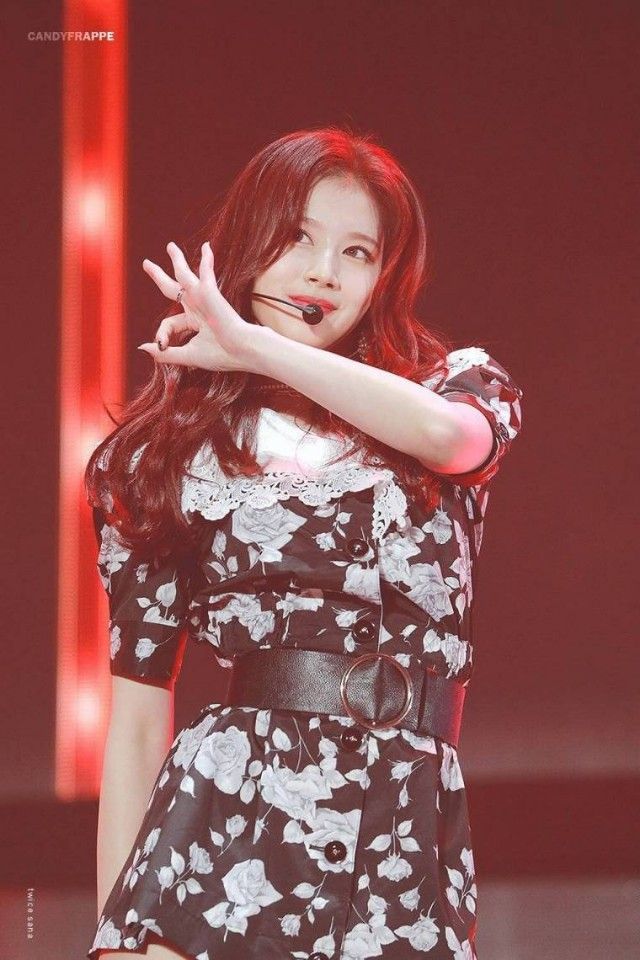 트와이스 사나