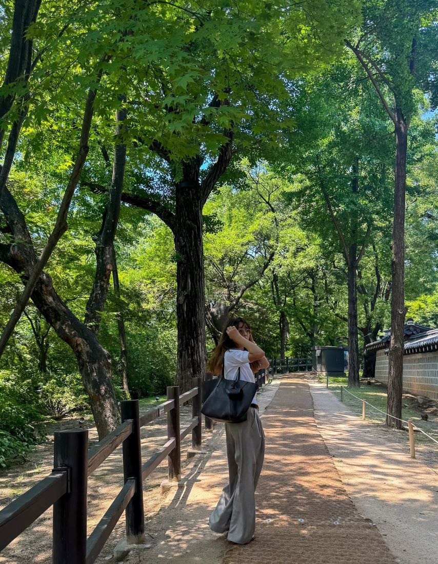 채정안 SNS