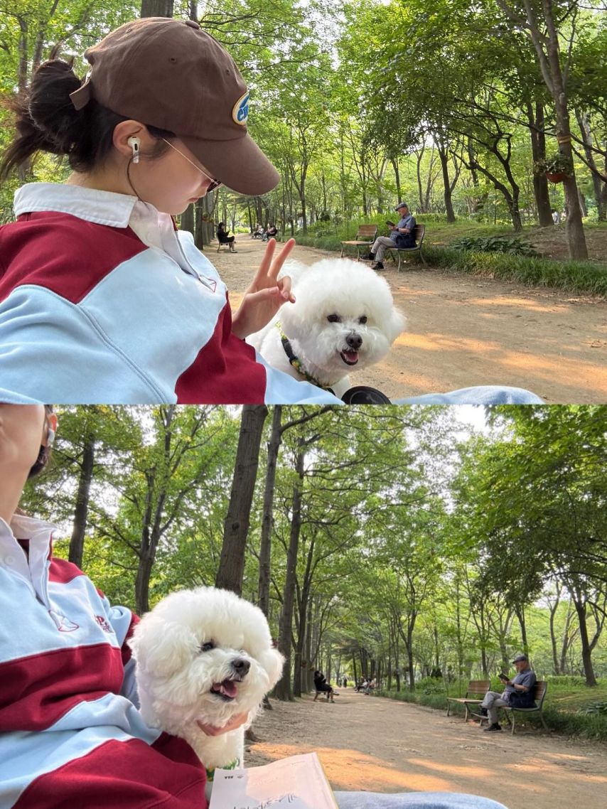 정채연 인별